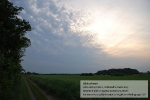 Wiesenlandschaft bei Alkersum